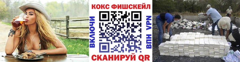 Купить закладки Рассказово Кокаин FishScale