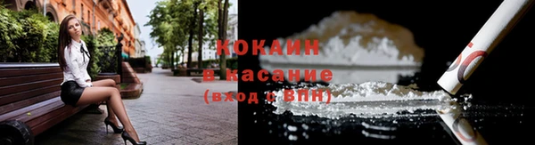 стаф Арсеньев